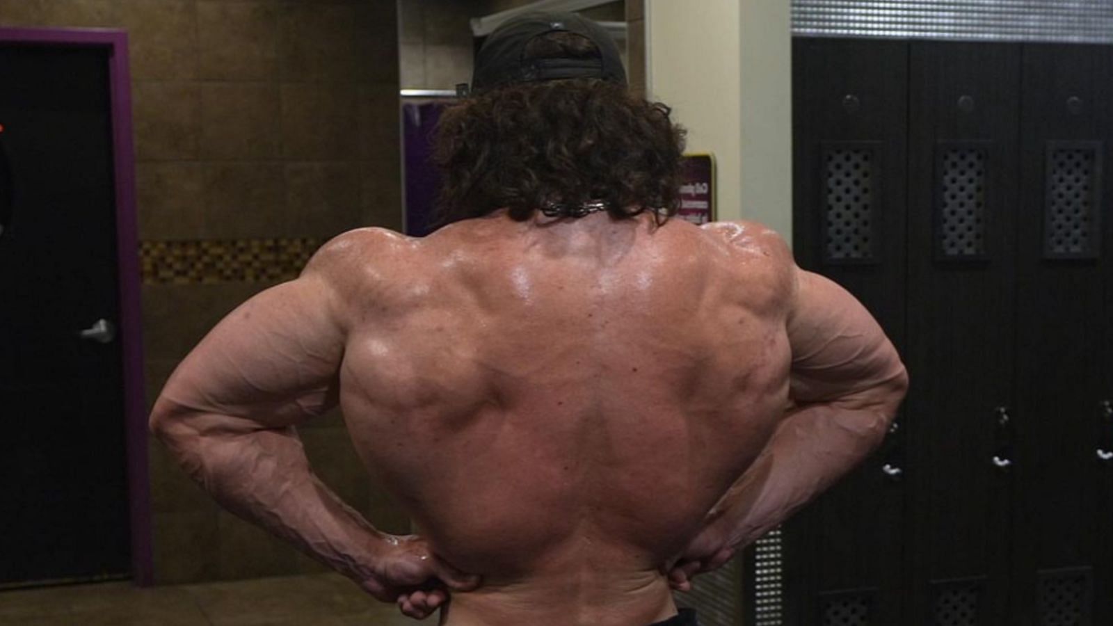 Sam Sulek's back (Image via Youtube)